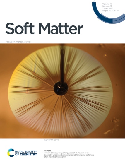 Soft Matter cover, May 2020: Geometry underlies the mechanical stiffening and softening of an indented floating film