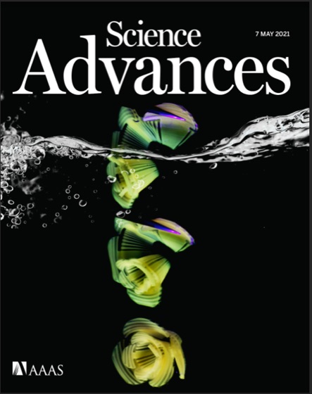 Science Advances cover, May 2021: Morphing pasta and beyond