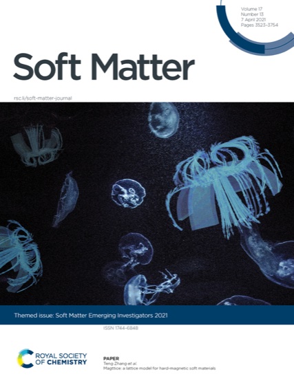 Soft Matter cover, April 2021: Magttice: a lattice model for hard-magnetic soft materials